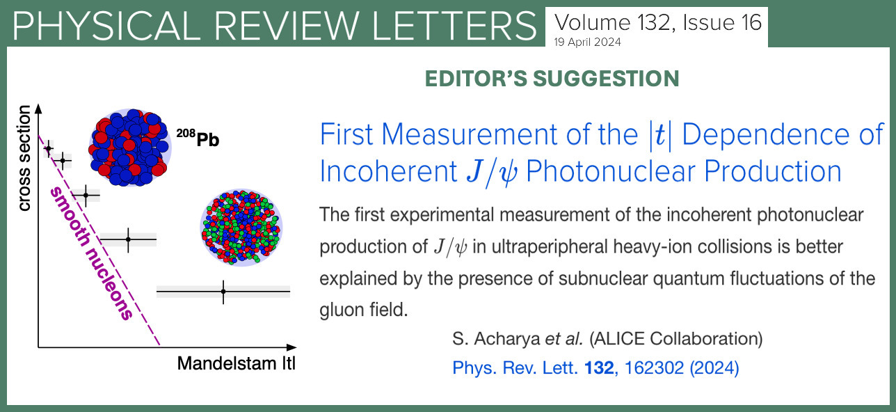 First Measurement of the |t| Dependence of Incoherent J/ψ Photonuclear Production